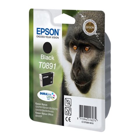 Epson Μελάνι Inkjet T0891 Black (C13T08914011) (EPST089140)