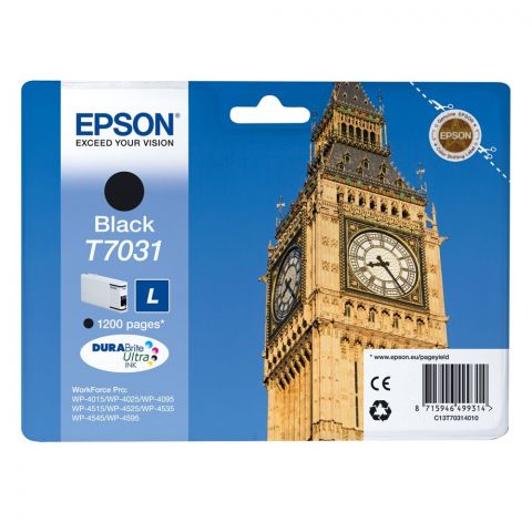 Epson Μελάνι Inkjet T7031 Black (C13T70314010) (EPST703140)