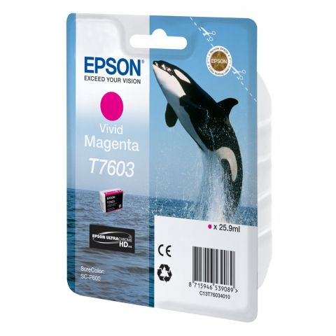 Epson Μελάνι Inkjet T7603 Vivid Magenta (C13T76034010) (EPST760340)