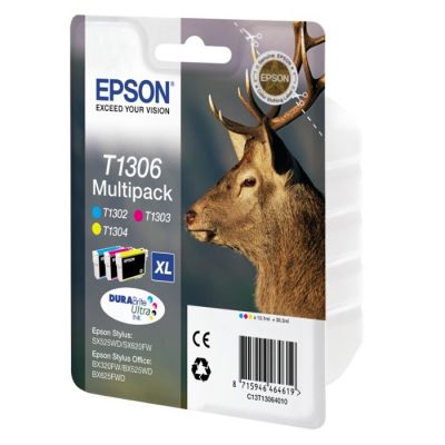 Epson Μελάνι Inkjet T1306 XL Multipack  (C13T13064012) (EPST130640)